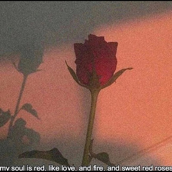 Meet your Posher, Michaela - Picture 1 of 1